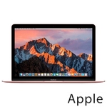 Ремонт Apple MacBook Mid в Тюмени