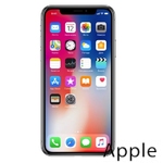 Ремонт iPhone X(10) в Тюмени